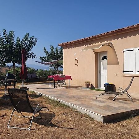 Studio Mitoyen A La Campagne Vue Sur La Mer Cargèse Екстериор снимка