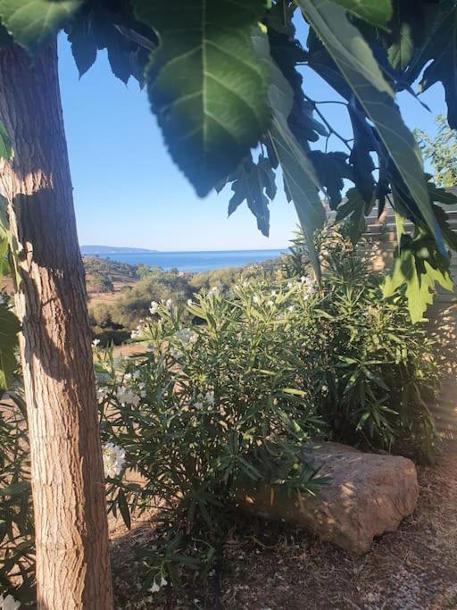 Studio Mitoyen A La Campagne Vue Sur La Mer Cargèse Екстериор снимка